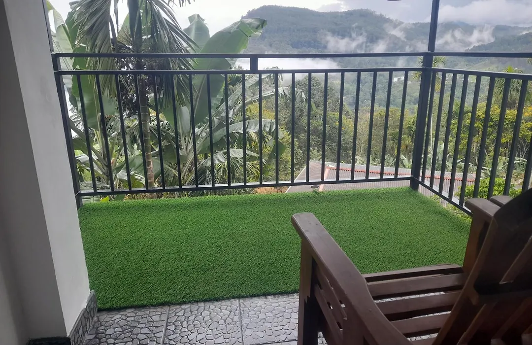 Golden View Guest Ella